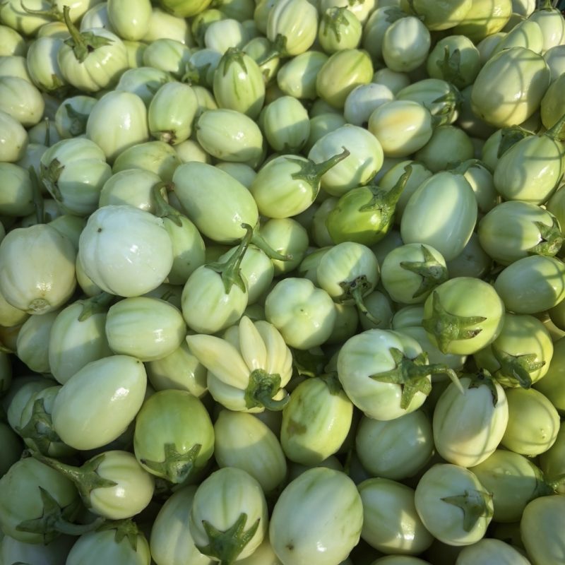 Garden Eggs (Small Oval Variety)